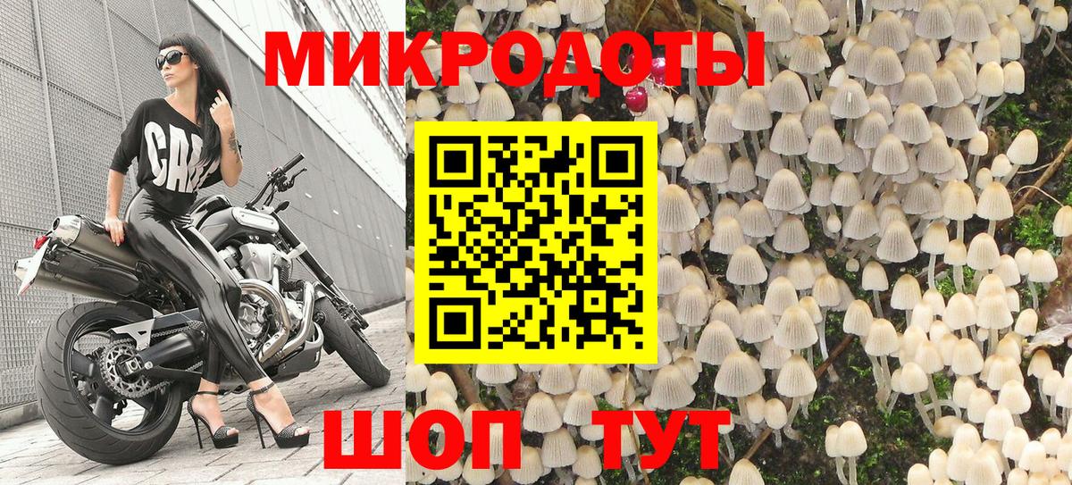 Псилоцибиновые грибы GOLDEN TEACHER  Вход с VPN  Лангепас  купить закладку  Галлюциногенные грибы Magic Shrooms 